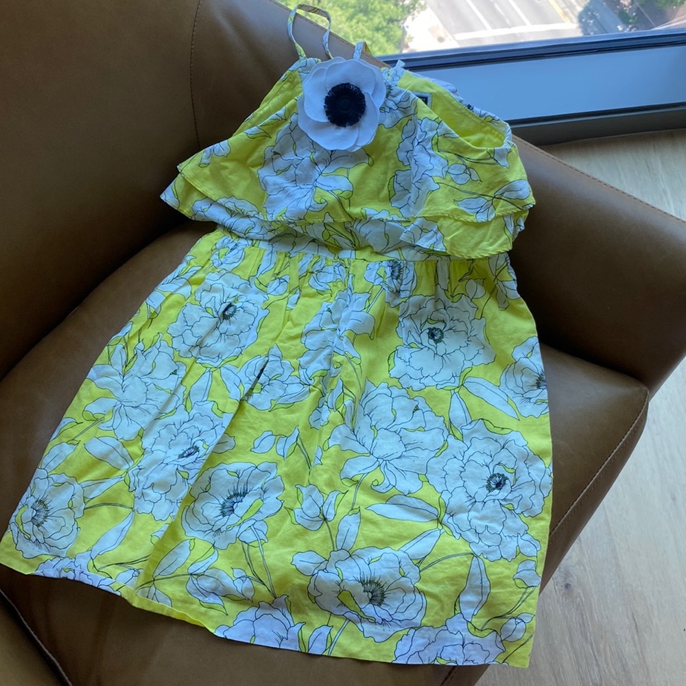 Janie and Jack dress